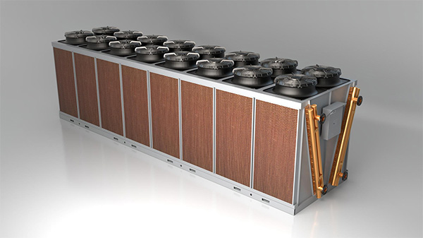 1646410534900352.jpg p1.jpg