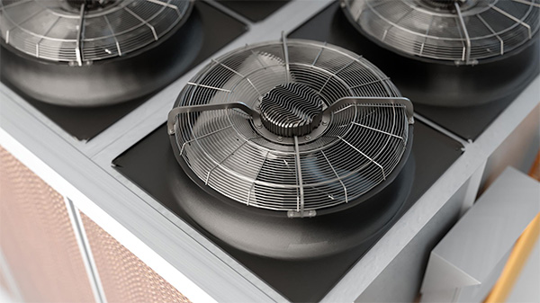 1646410547622977.jpg p2.jpg