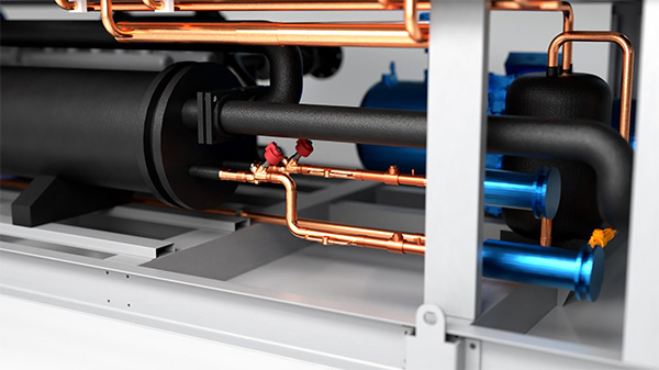 1646411817553520.jpg p1.jpg