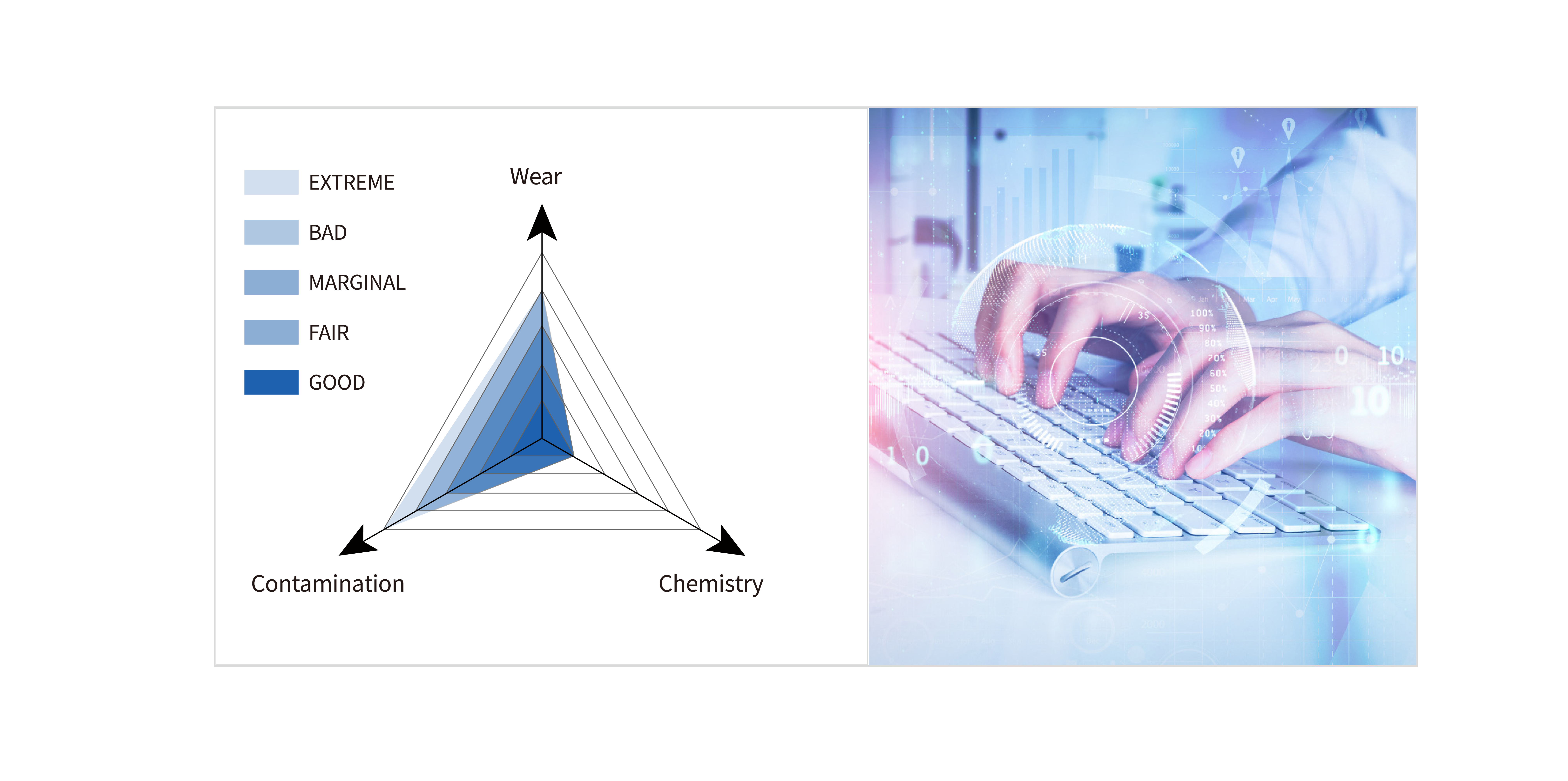 1647465446324400.png 02.png